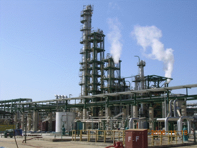 Acetic Acid Project