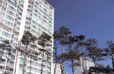 Suji LG Apt 3